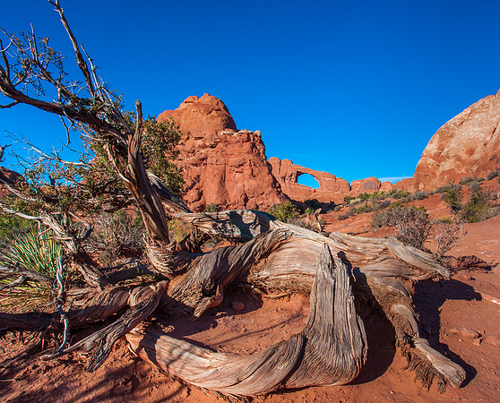 Sky Line Arch