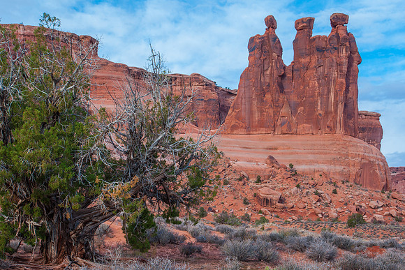 Three Gossips