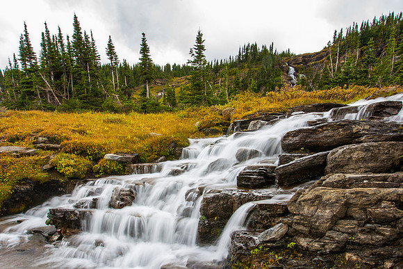Logan Creek Rapids