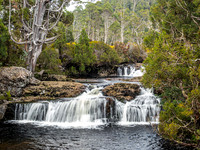 Pencil Pines Cascade - Tasmania