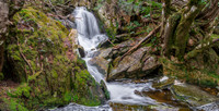 Crater Falls - Tasmania