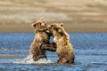 Silver Salmon Creek Lodge - Alaska