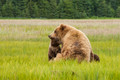 Silver Salmon Creek Lodge - Alaska