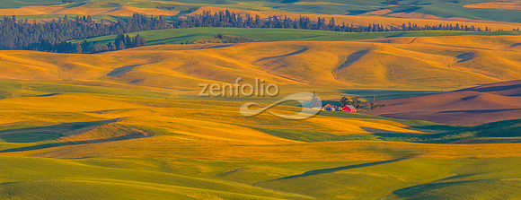 Palouse Wheat Farm