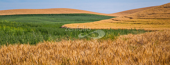 Agricultural Patterns