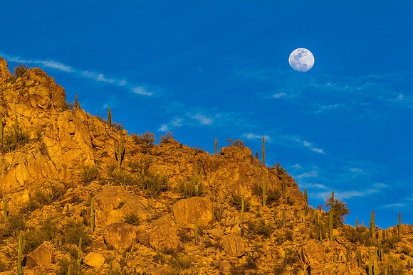 Moonrise