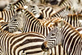 Africa