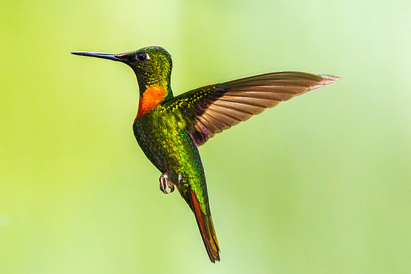 Gould's Jewelfront