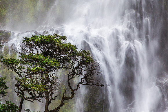 Devil's Punchbowl Waterfall