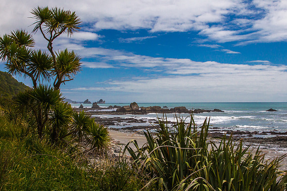 Tasman Sea Shoreline