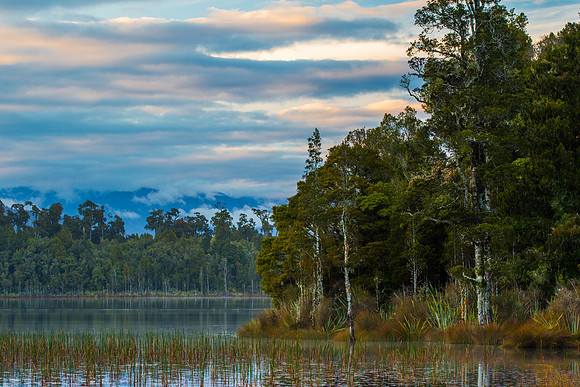 Lake Kaniere Shoreline
