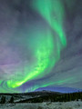 Aurora Borealis