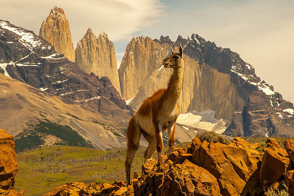 Torrres del Paine