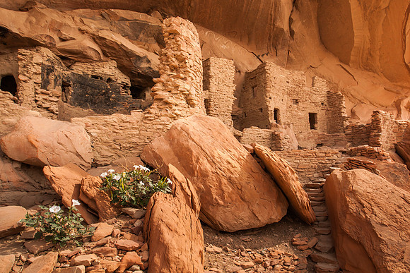 River House Ruin