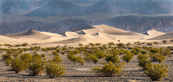 Mesquite Flat Sand Dunes