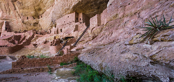 Long House Cliff Dwelling