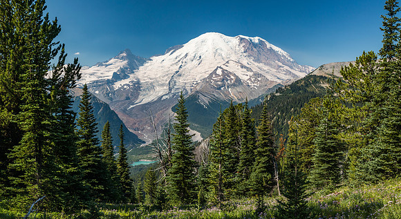 Mount Rainier