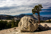 Olmsted Point