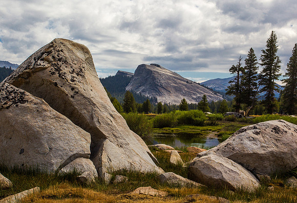 Tuolumne Meadow