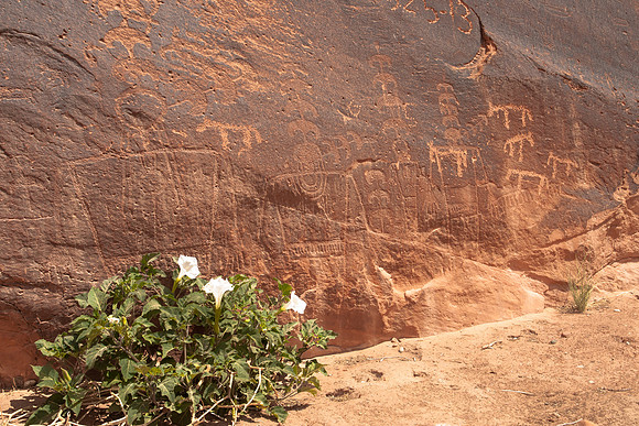 Cedar Mesa