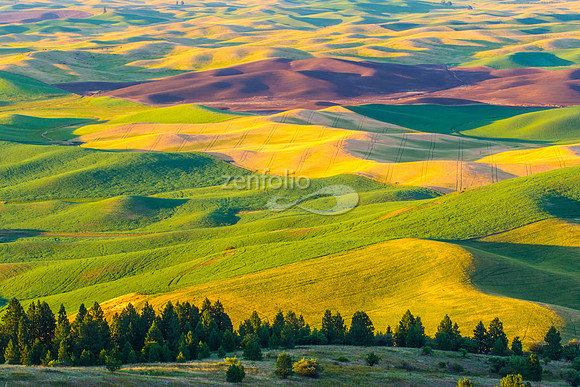 Rolling Hills