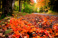 Autumn Leaves