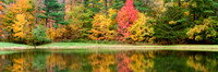 Autumn Reflections