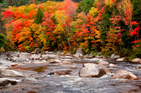 Autumn Colors