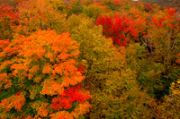 Autumn Splendor