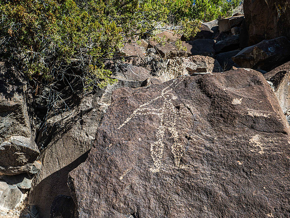 Mesa Prieta Petroglyph Site
