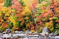 Cascades with Fall Foliage