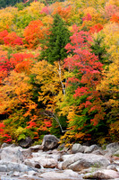 Tree Lined Stream with Authum Foliage