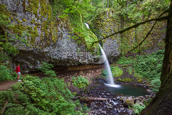 PonytailFalls