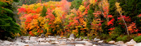 Fall Colors Along River Bank