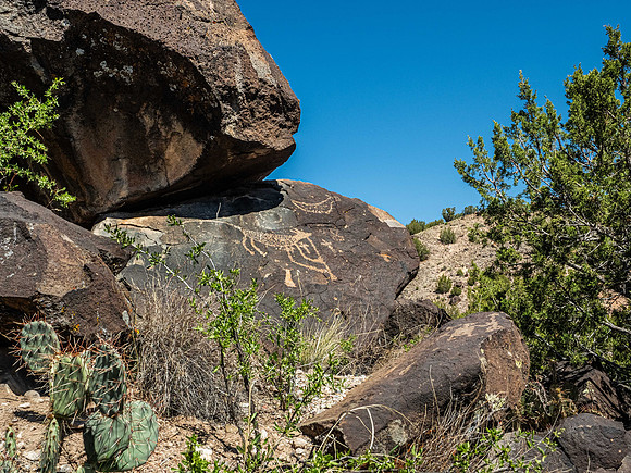 Mesa Prieta Petroglyph Site