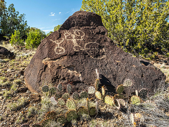 Mesa Prieta Petroglyph Site